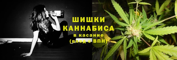 гашик Аркадак