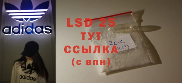 гашик Аркадак